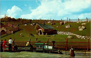 Canada Edmonton Storyland Valley Children's Zoo Goats On Hillside Above ...