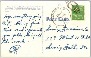 1949 Texas Longhorn (Steer) Width of Horns 9Ft. 6 In. T3 Posted Postcard
