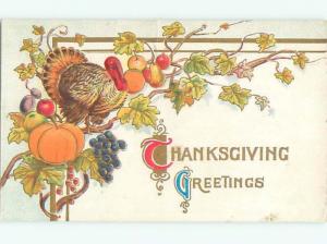 Divided-Back THANKSGIVING SCENE Great Postcard AA0520