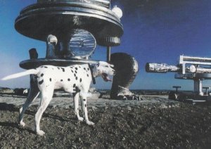 Spot The Dog at Consett Rare County Durham Photography Winner Stunning Postcard