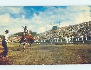 1950's Western GRANDSTANDS AT RODEO hn5935