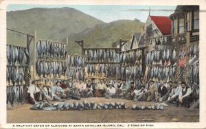 SANTA CATALINA ISLAND CA~HALF DAY CATCH OF ALBICORE-2 TONS OF FISH POSTCARD 1923