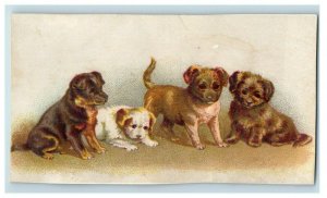 1880s-90s Victorian Trade Cards Girls  Puppies Globe Chalk Tablets Lot Of 2 P206