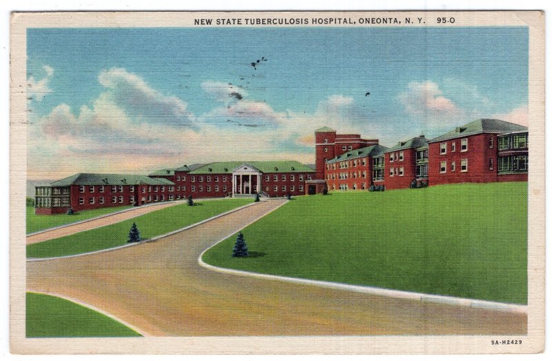 Oneonta, N.Y., New State Tuberculosis Hospital