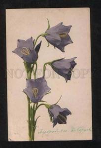 3068425 Blue BELL-FLOWERS Style KLEIN vintage Photo RPPC 1904 y