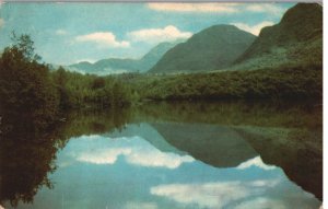 VINTAGE POSTCARD UNION OIL COMPANY'S NATURAL COLOR SCENES OF THE WEST ANCHORAGE