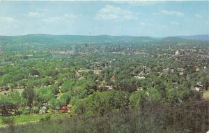 Binghamton New York Bird's Eye View~Houses-Buildings-Lots of Trees-River~'50s Pc