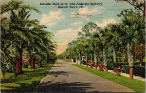 Vtg 1950 Palm Drive John Anderson Highway Ormond Beach Florida FL Postcard