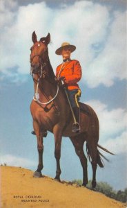 ROYAL CANADIAN MOUNTED POLICE Mountie & Horse c1940s Vintage Postcard