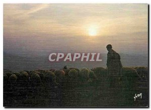 Postcard Modern Crepuscule on the herd