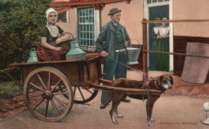 Vintage Postcard 1910's Walchersche Hondenkar Rottweiler Dog Cart Netherlands