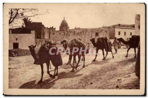 Old Postcard Morocco A caravan crossing a Village South Camel Camel
