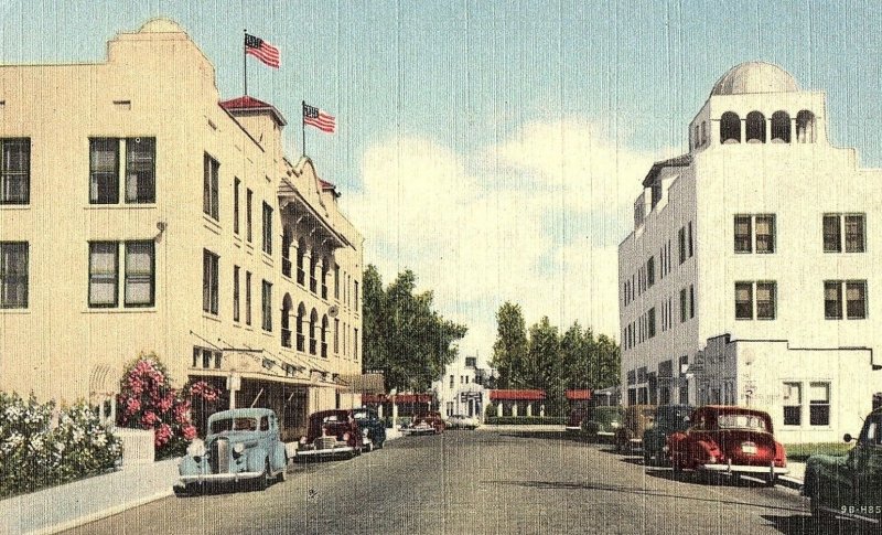 Vintage Santo Spring, Safety Harbor, Fla. Postcard P131