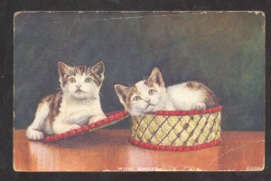 CUTE CATS KITTENS KITTYS WIDE AWAKE IN BASKET GRANADA COLORADO OLD POSTCARD