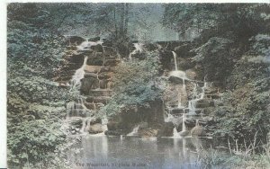 Surrey Postcard - The Waterfall - Virginia Water  2466