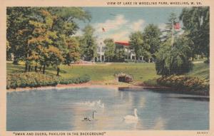 Swan and Ducks in Park - Wheeling WV, West Virginia - pm 1936 - Linen