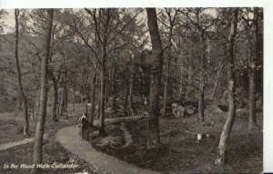 Scotland Postcard - In The Wood Walk - Callande - Stirlingshire - Ref 9175A