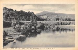 Warren New Hampshire~Private Fish Pond & Mt Moosilauke (Morse Museum View)~1940s