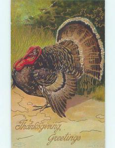 Pre-Linen thanksgiving BEAUTIFUL LARGE DETAILED TURKEY BIRD HQ7569