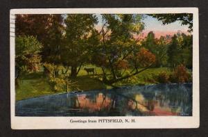NH Greetings from PITTSFIELD NEW HAMPSHIRE Postcard Cow