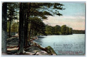 1909 Shore At Lakeside Park Long Pond Near Bedford Massachusetts MA Postcard