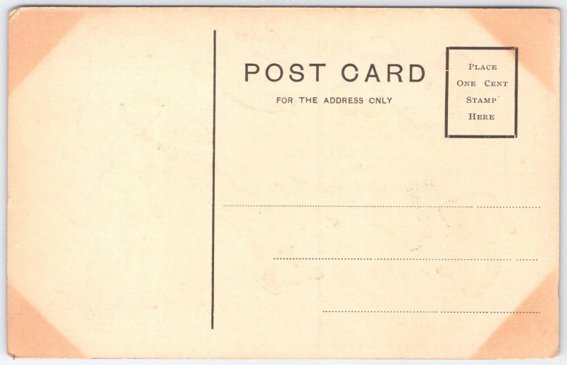 1907 Coney Island Vintage Comic Postcard Red Hot Frankfurters Sauerkraut