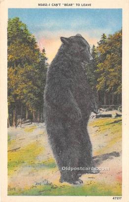 Bear Unused 