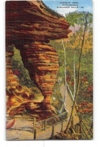 Wisconsin Dells WI Postcard 1930-1950 Hornets Nest