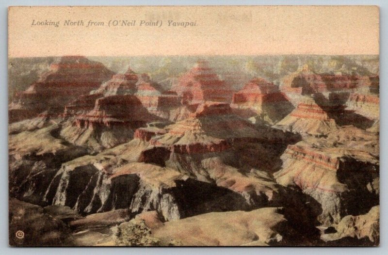 Vintage Arizona Postcard -  Grand Canyon    O'neil Point   Yavapai