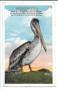 Greetings from Florida - Pelican - To Portugal - 1921