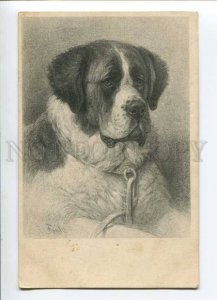 279729 Portrait ST. BERNARD by SPECHT vintage VIENNE MUNK PC