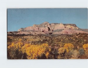 Postcard Wilson Mountain, Arizona
