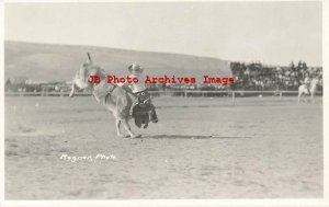NV, Winnemucca, Nevada, RPPC, Rodeo, Cowboy Riding Bull, H.J. Rogner Photo