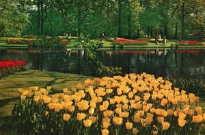 Postcard Keukenhof Botanical Flower Garden of Europe Lisse Holland Netherlands