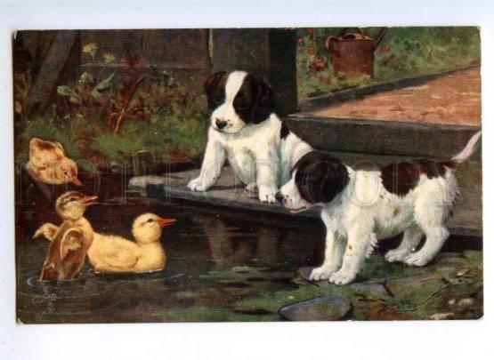 148219 English Setter PUPPY Duckling by COBBS Vintage TUCK PC