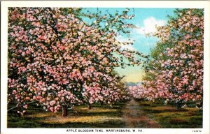 Scenic View, Apple Blossom Time, Martinsburg WV Vintage Postcard N57