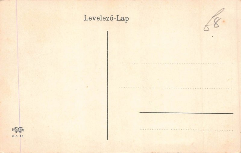Hungary Budapest Danube River Chain Bridge Steamboat postcard B871