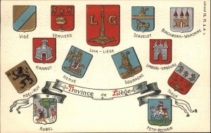 Heraldic Crest Shields of Belgium c1900 Embossed Postcard - LIEGES Exc Cond