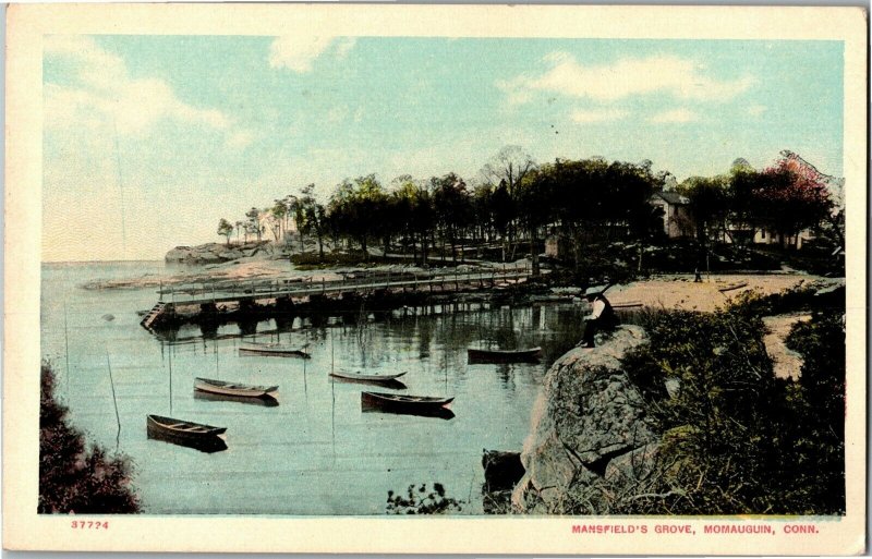 View of Mansfield's Grove, Momauguin CT Vintage Postcard B49