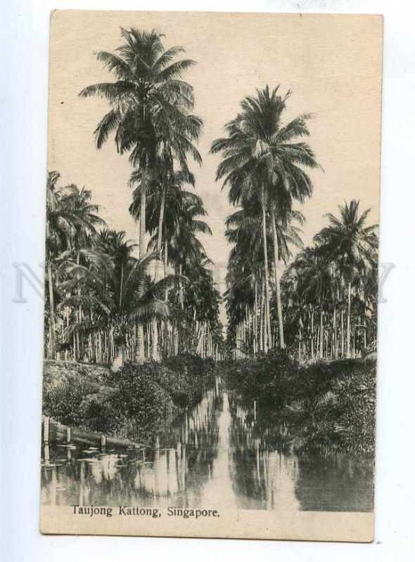 191930 SINGAPORE TAUJONG KATTONG Vintage postcard