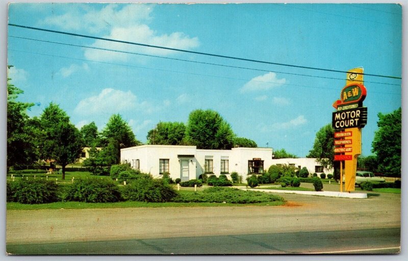Vtg Clarksville Tennessee TN A & W Motor Court Motel 1960 View Postcard