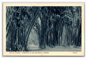 Bamboo in Botanical Gardens Rio De Janeiro Brazil UNP WB Postcard V20