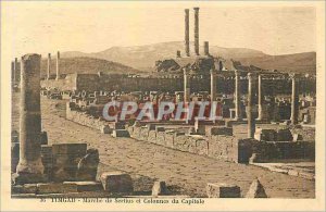 Old Postcard 36 Timgad Sertius walk and columns of Capitol