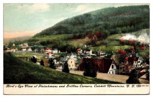 1908 Birds Eye View of Fleischmans & Griffins Corners, Catskill Mtn, NY Postcard