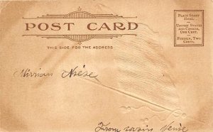 American Flag Writing on Back 