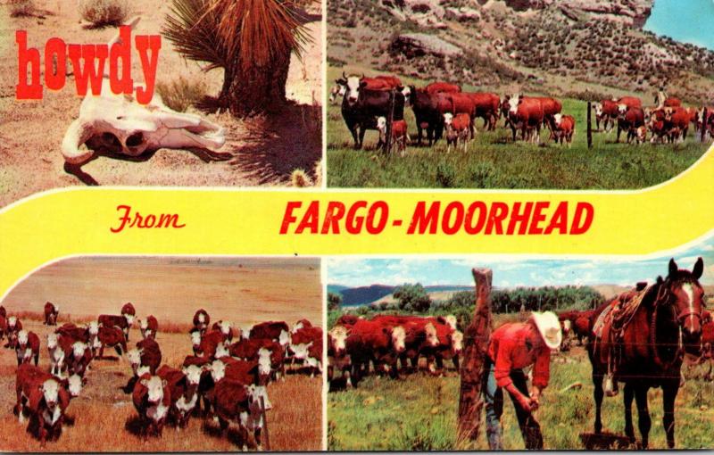 North Dakota Howdy From Fargo-Moorehead Showing Cattle Cows