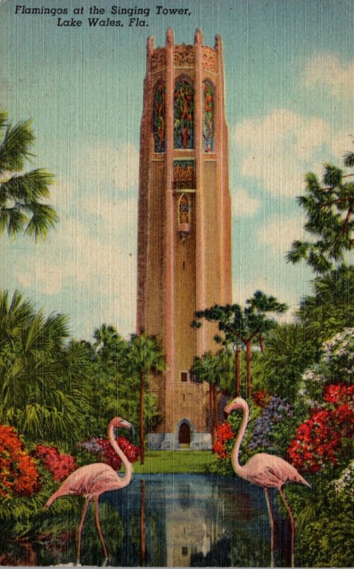 Florida Lake Wales The Singing Tower & Flamingos Curteich