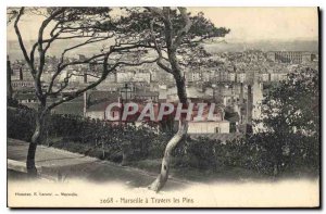 Postcard Old Marseille Travers les Pins