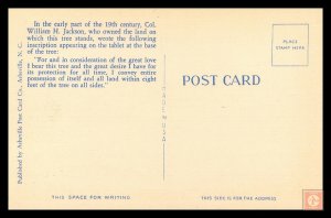 The Only Tree in the World that Owns Itself, Athens, GA