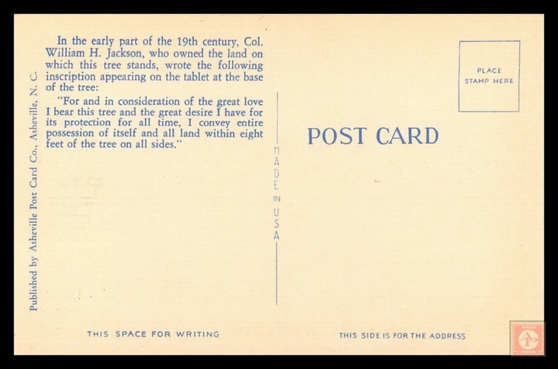 The Only Tree in the World that Owns Itself, Athens, GA